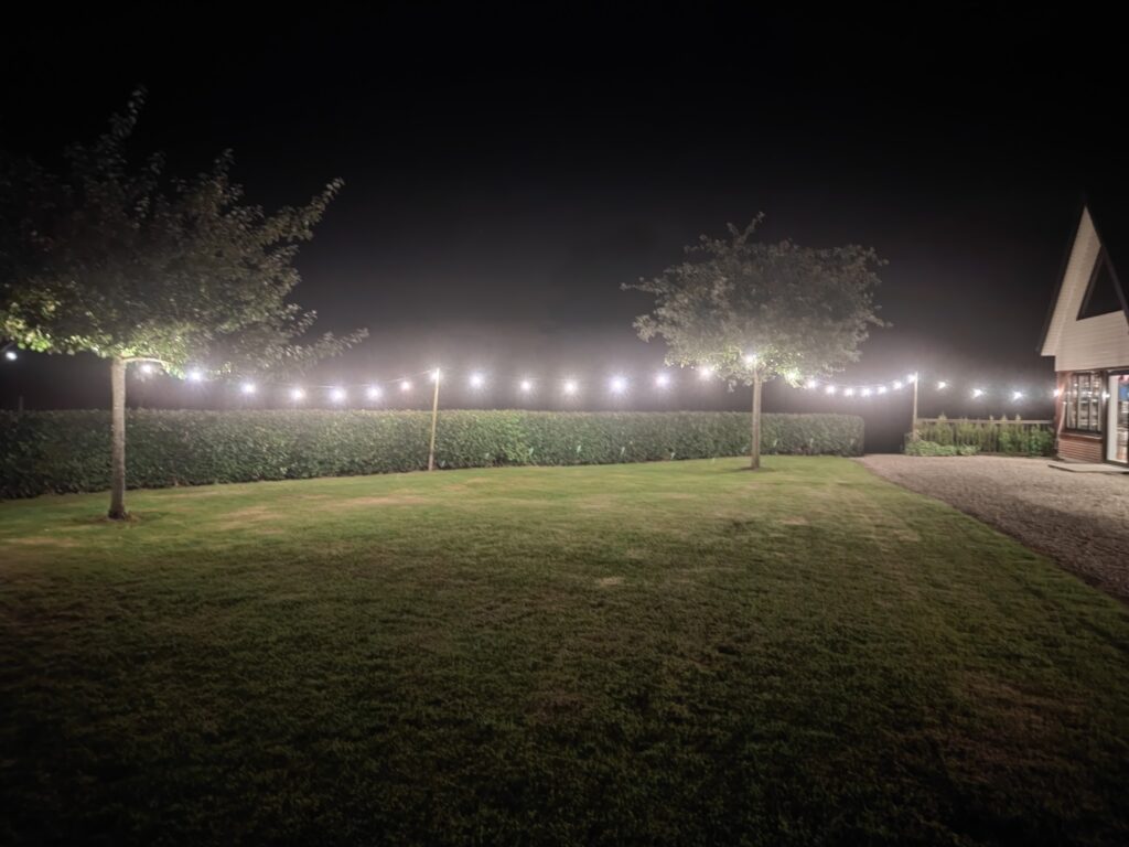 Le jardin éclairé de guirlandes lumineuses la nuit